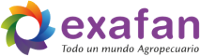 logo_exafan Exafan